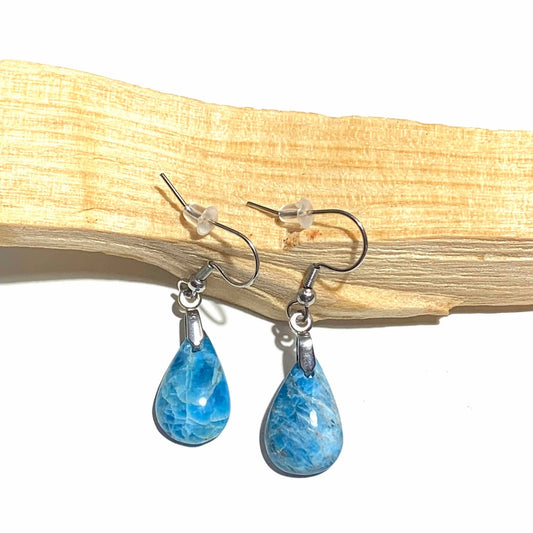 Boucles d’oreilles pendantes en acier inoxydable, ornées d’apatite bleue. Un bijou vibrant et raffiné, parfait pour allier élégance et énergie positive